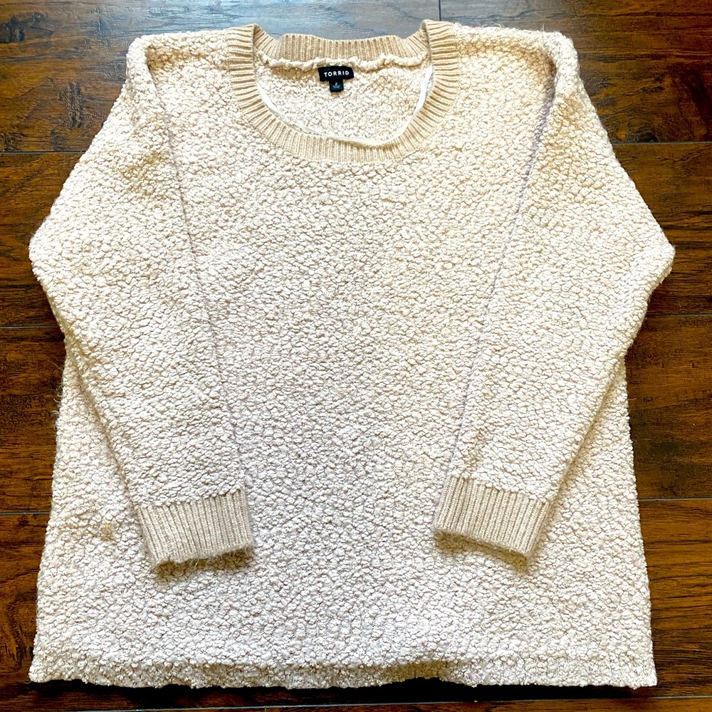 Teddy bear plush sweater